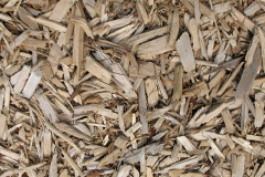 biomass boilers Trehafod