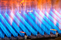 Trehafod gas fired boilers